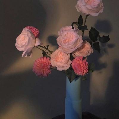 hb火博体育注册